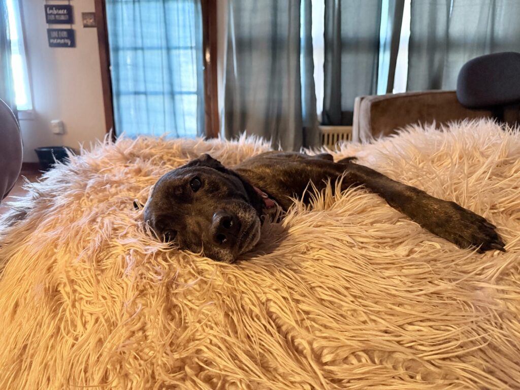 Miss Murphy on a beanbag